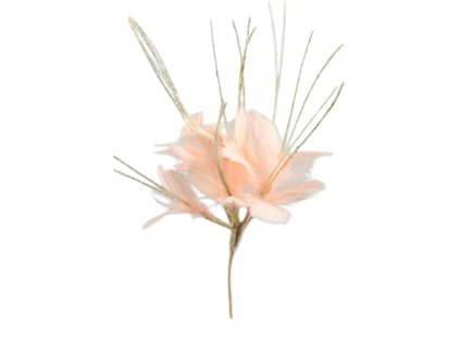 10585 10585 1 pixelcut export 1355