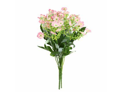 ChatGPT Image 24. 2. 2026, 21 23 05