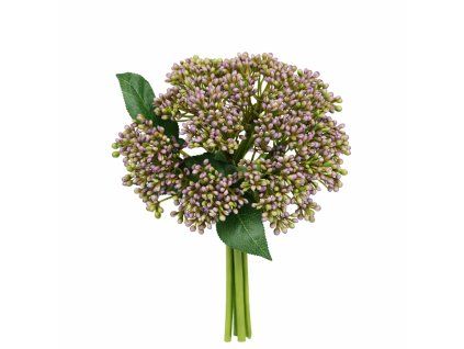 ChatGPT Image 24. 2. 2026, 20 55 14