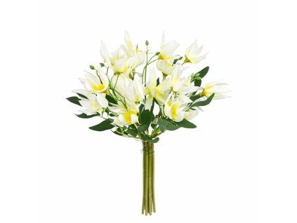 ChatGPT Image 24. 2. 2026, 21 17 42