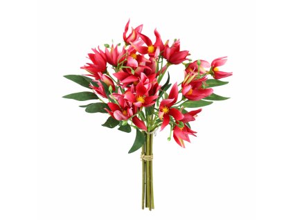 ChatGPT Image 24. 2. 2026, 21 06 24