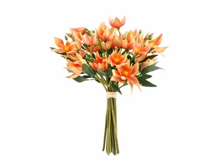 ChatGPT Image 24. 2. 2026, 21 13 11