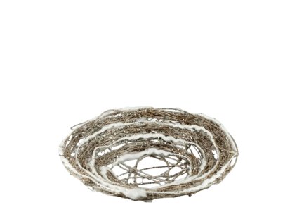 10735 10735 2 pixelcut export 1729