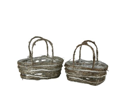 10738 10738 2 pixelcut export 1731