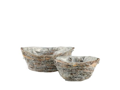 10741 10741 2 pixelcut export 1725