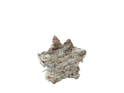 10747 10747 1 pixelcut export 1723