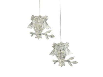 11014 11014 1 pixelcut export 613