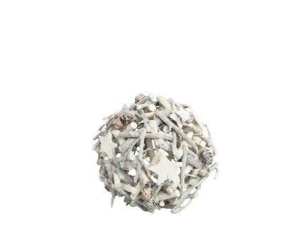 11137 11137 1 pixelcut export 1598