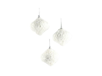 11446 11446 1 pixelcut export 579