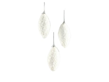 11452 11452 1 pixelcut export 586