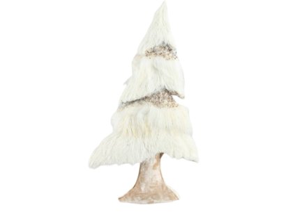 11554 11554 1 pixelcut export 1051