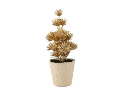 11575 11575 1 pixelcut export 1034