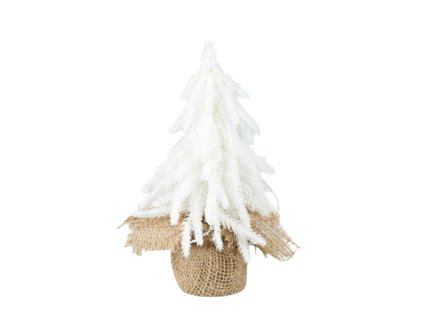 11584 11584 1 pixelcut export 1029