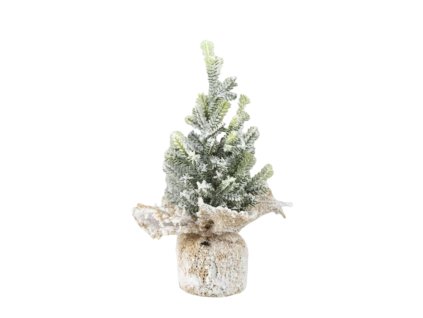 11587 11587 1 pixelcut export 1030