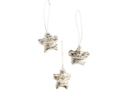 11605 11605 1 pixelcut export 1757