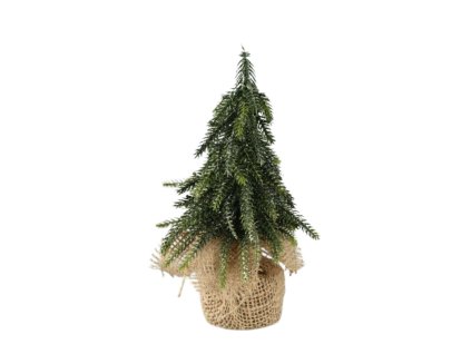 11620 11620 1 pixelcut export 1027