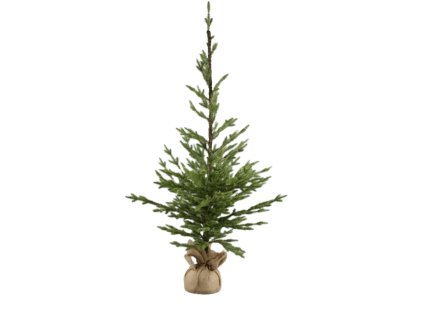 11752 11752 1 pixelcut export 1046