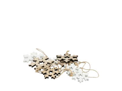 11932 11932 1 pixelcut export 1664