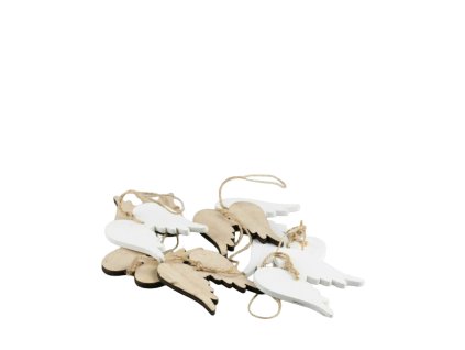 11938 11938 1 pixelcut export 1658