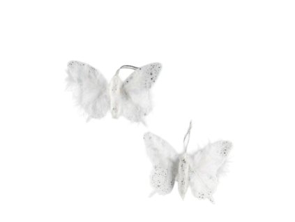 11977 11977 1 pixelcut export 1830