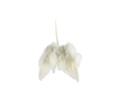 11998 11998 1 pixelcut export 1847