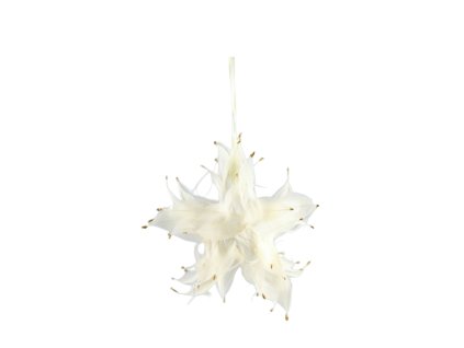 12016 12016 1 pixelcut export 1806