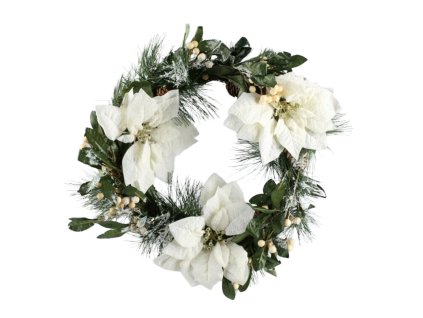 12061 12061 1 pixelcut export 1551