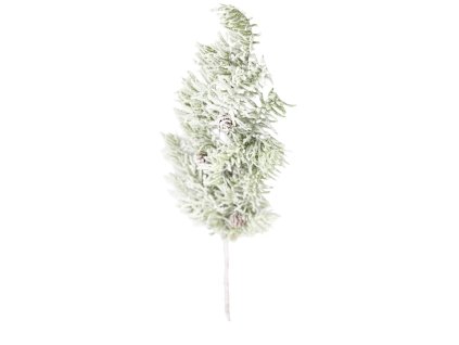 12646 12646 1 pixelcut export 1412