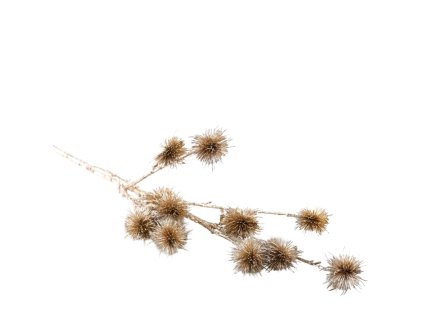 12682 12682 pixelcut export 1241