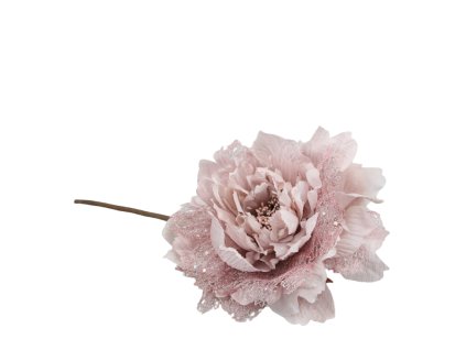 12685 12685 1 pixelcut export 1262