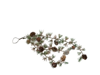 12796 12796 1 pixelcut export 1645