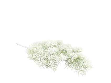 13021 13021 1 pixelcut export 1413