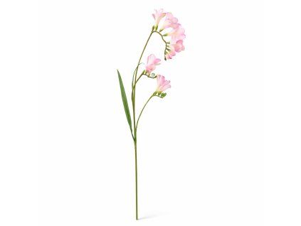 ChatGPT Image 24. 2. 2026, 15 58 48