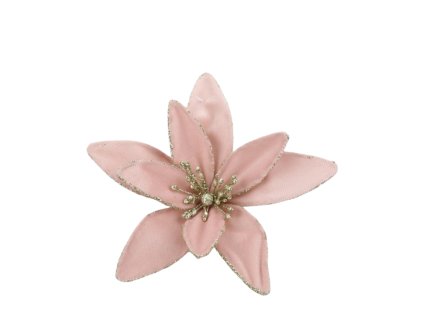 13531 13531 1 pixelcut export 1258