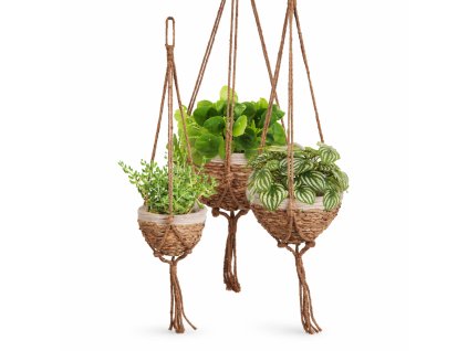 ChatGPT Image 15. 2. 2026, 16 22 26