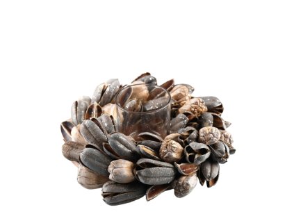 13687 13687 2 pixelcut export 1454