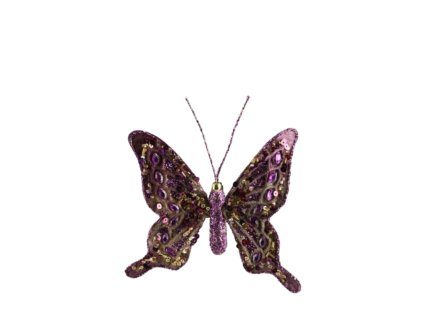 13795 13795 1 pixelcut export 1821