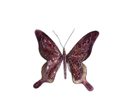 13825 13825 1 pixelcut export 1825