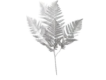 13888 13888 1 pixelcut export 1236