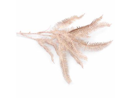 ChatGPT Image 26. 2. 2026, 09 15 26