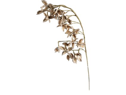 14122 14122 1 pixelcut export 1381