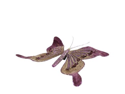 14419 14419 1 pixelcut export 1824