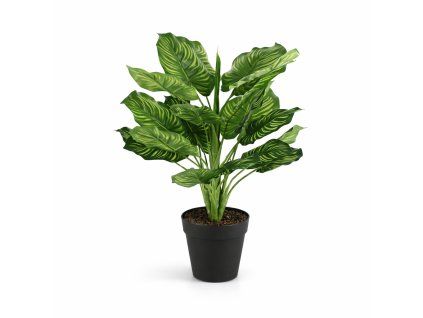 ChatGPT Image 20. 2. 2026, 19 39 08