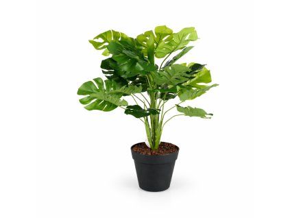 ChatGPT Image 25. 2. 2026, 15 43 49