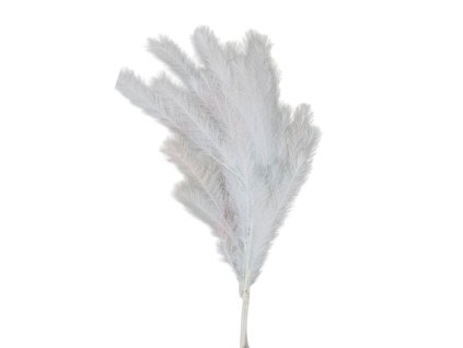 14764 pixelcut export 2025 11 09t145329 400