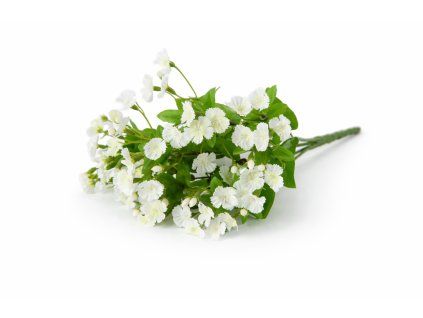 ChatGPT Image 24. 2. 2026, 20 22 29