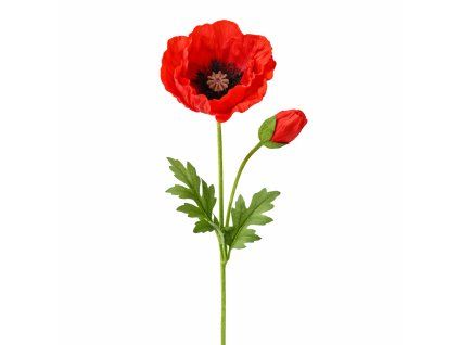 ChatGPT Image 26. 2. 2026, 12 13 29