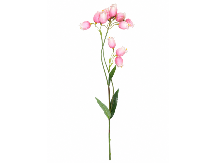 ChatGPT Image 29. 4. 2026, 10 23 04