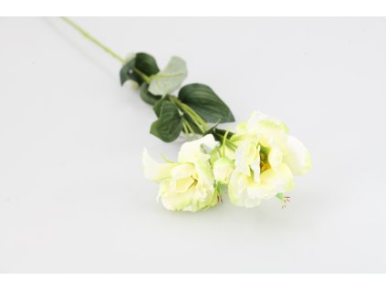 15685 15685 1 15685 43336 34 lysianthus zeleno kremovy 83cm