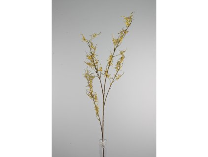 15715 15715 1 15715 784950 limonium zlty 114cm